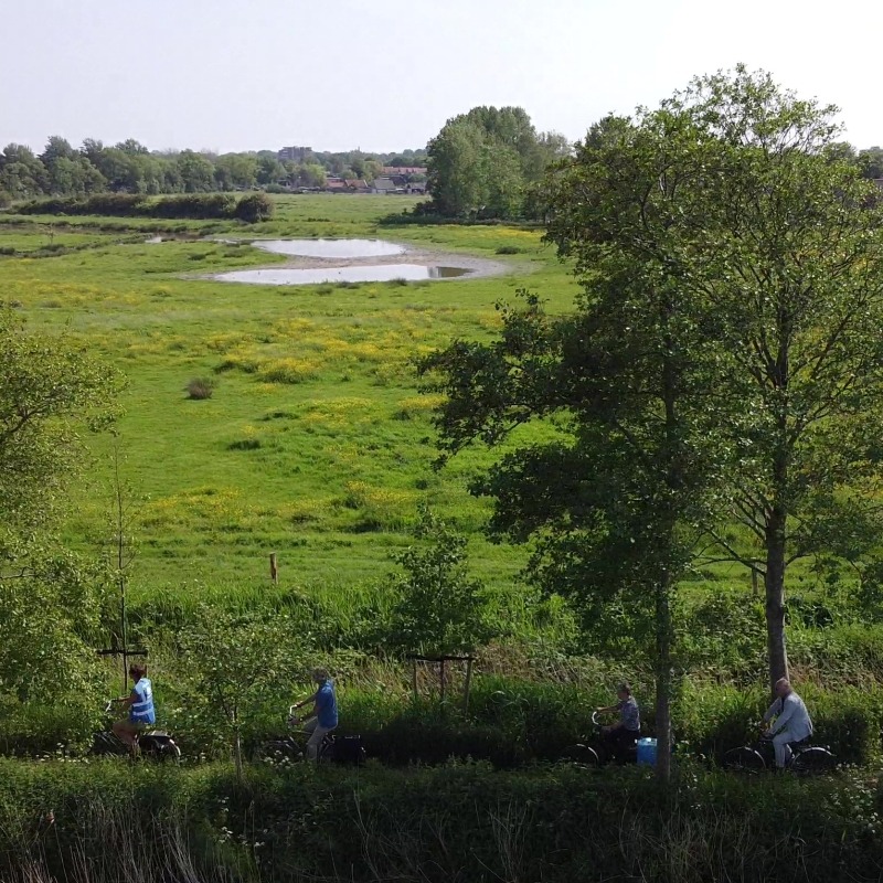 Fietsen in ommeland